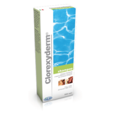 CLOREXYDERM SHAMPOO 250 ML