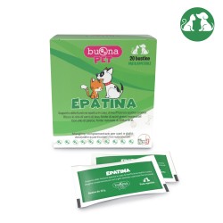 EPATINA 20 BUSTINE