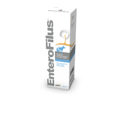 ENTEROFILUS 100 ML