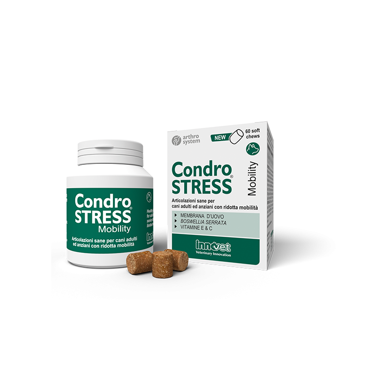 CONDROSTRESS MOBILITY 60 CHEWS