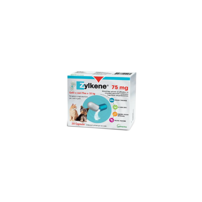 ZYLKENE 20 CPS 75 MG