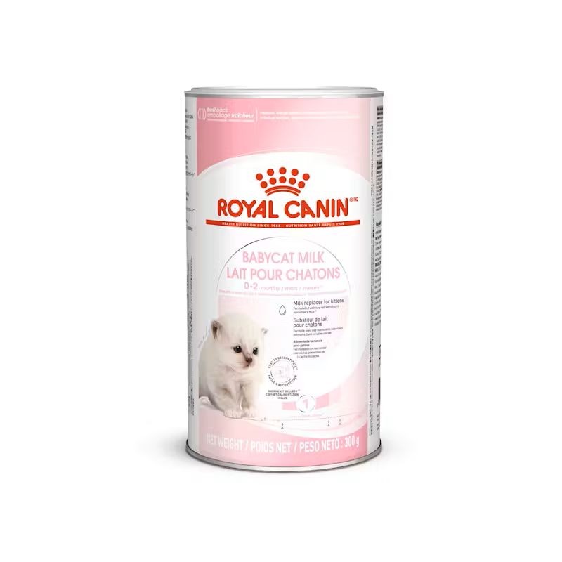 ROYAL CAT BABYCAT MILK 300 GR CON TETTARELLA