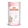 ROYAL CAT BABYCAT MILK 300 GR CON TETTARELLA