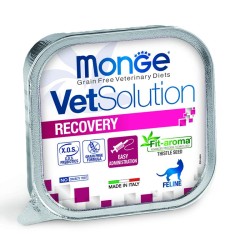 MONGE CAT VET SOLUTION RECOVERY 100 GR
