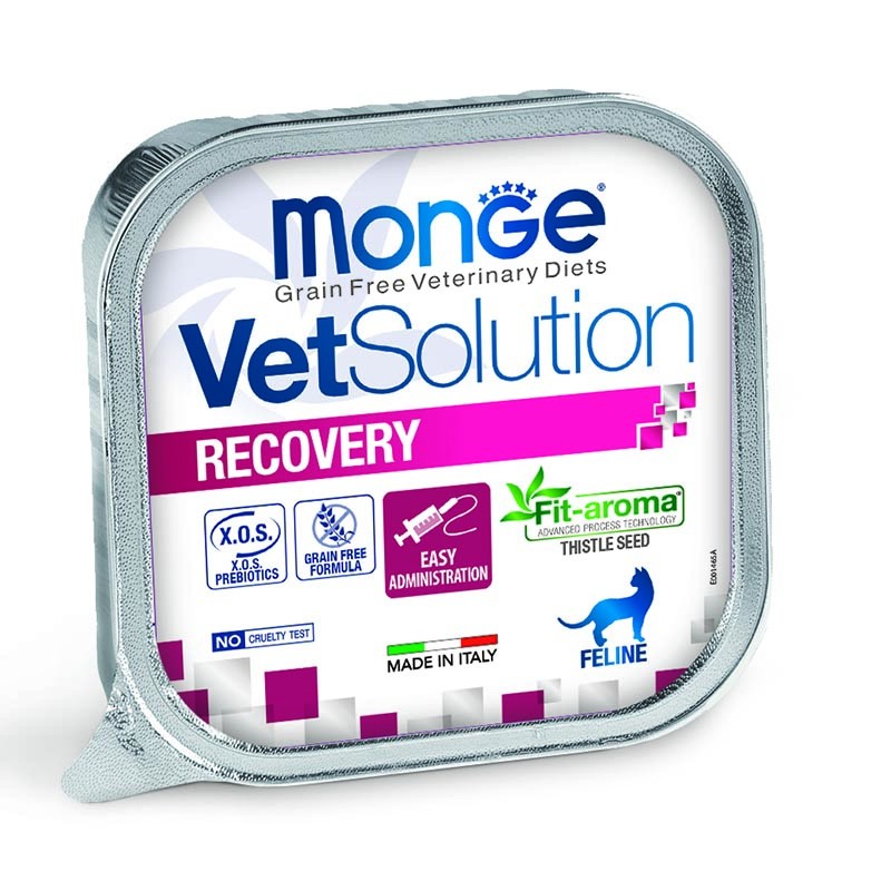 MONGE CAT VET SOLUTION RECOVERY 100 GR
