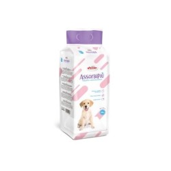 TRAVERSE ASSORBI+ 60X60 BSX40P