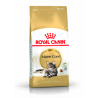 ROYAL CAT MAINE COON 2 KG