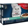 GOURMET PERLE MULTIPACK MIX IN SALSA 12 BUSTE DA 85 GR