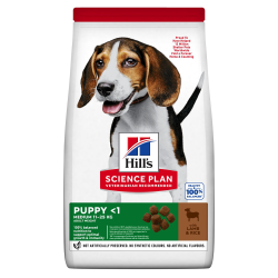 HILLS CANE PUPPY MEDIO AGNELLO 12 KG