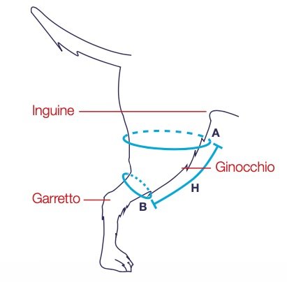 riferimento per misure