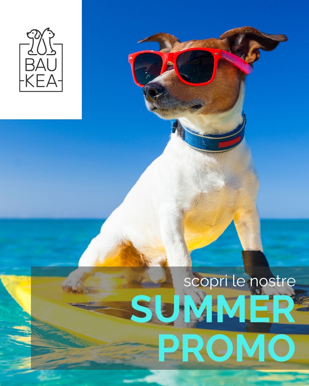 L'estate è arrivata e le avventure con i tuoi amici a quattro zampe non si fermano mai! 

🎉 Per rendere questo Luglio ancora più speciale (e conveniente!), BauKea ha lanciato le sue incredibili Summer Promo!

Abbiamo selezionato tantissimi prodotti indispensabili per affrontare al meglio il caldo e divertirsi in sicurezza. 
Trovi sconti imperdibili su accessori per viaggi pet-friendly, gli antiparassitari più efficaci, giochi rinfrescanti e cucce estive super comode.

Non perdere l'occasione di preparare al meglio il tuo fedele compagno per un'estate indimenticabile, risparmiando! Visita subito il nostro sito e scopri tutte le offerte pensate per te e il tuo amico peloso. 👇

Scopri tutte le Summer Promo di Luglio su BauKea.com!

BauKea🐾
Pet Lifestyle

#SummerPromo #BauKeaSaldi #EstateConBauKea #ScontiPet #LuglioInOfferta