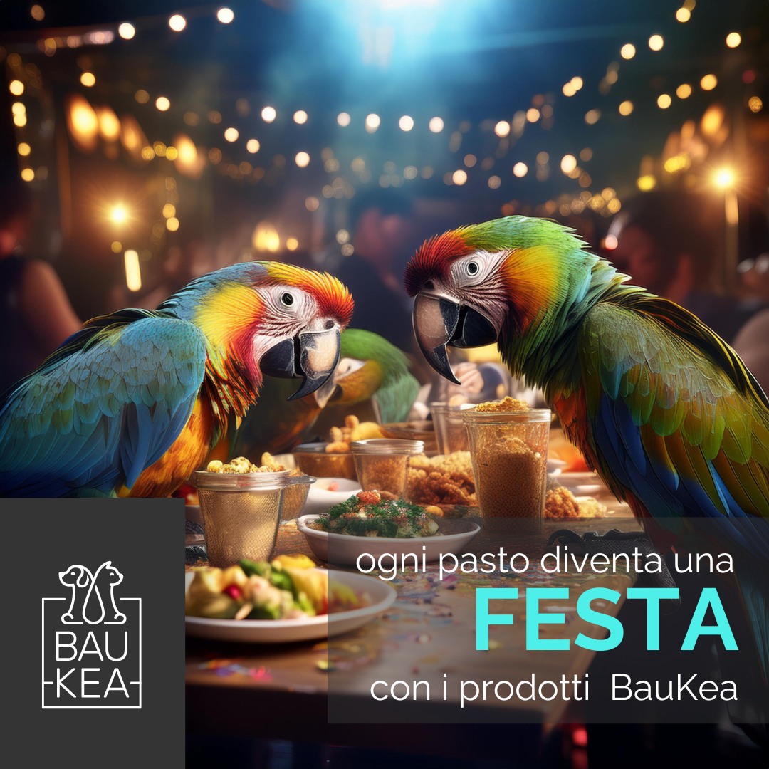 Nutrizione perfetta per i tuoi pappagalli su BauKea! 🦜

Cari amanti dei pappagalli, è ora di dare ai vostri amici piumati il cibo che meritano! Da BauKea, abbiamo una selezione di alimenti di alta qualità appositamente formulati per soddisfare le esigenze nutritive dei pappagalli, mantenendoli sani e felici.✨

La nostra gamma di prodotti include anche una selezione di snack e mangimi per rendere ancora più speciale la dieta del tuo pappagallo.

Rendi ogni pasto una festa per il tuo amico piumato con BauKea! ❤️

www.baukea.com

BauKea 🐾
Pet Lifestyle

#BauKea #PetLifestyle #Nutrimento #AmiciPiumati