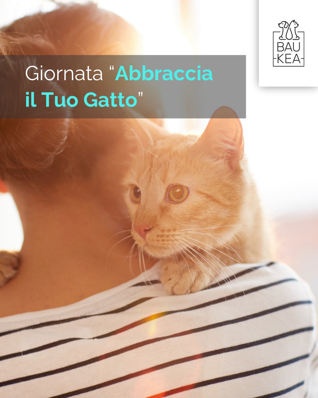 Oggi, 4 Giugno, è la Giornata Abbraccia il Tuo Gatto! 😻 
Non c'è niente di più confortante di un abbraccio felino, un fusa profondo che riempie l'anima. I nostri amici baffuti ci regalano affetto incondizionato, momenti di pura gioia e quell'indipendenza che li rende così unici.

Prenditi un momento extra oggi per stringere forte il tuo micio (se lo apprezza! 😉), fargli una coccola in più o semplicemente goderti la sua presenza silenziosa. ❤️

E per rendere le sue coccole ancora più speciali, scopri i nostri morbidi cuscini e le spazzole per un pelo lucidissimo sul nostro sito web ✨

www.baukea.com 

BauKea🐾
Pet Lifestyle

#BauKea #PetLifeStyle #HugYourCatDay #GiornataAbbracciaIlTuoGatto #AmoreFelino #GattiDiCasa #BauKeaAmore #CoccoliamoIGatti