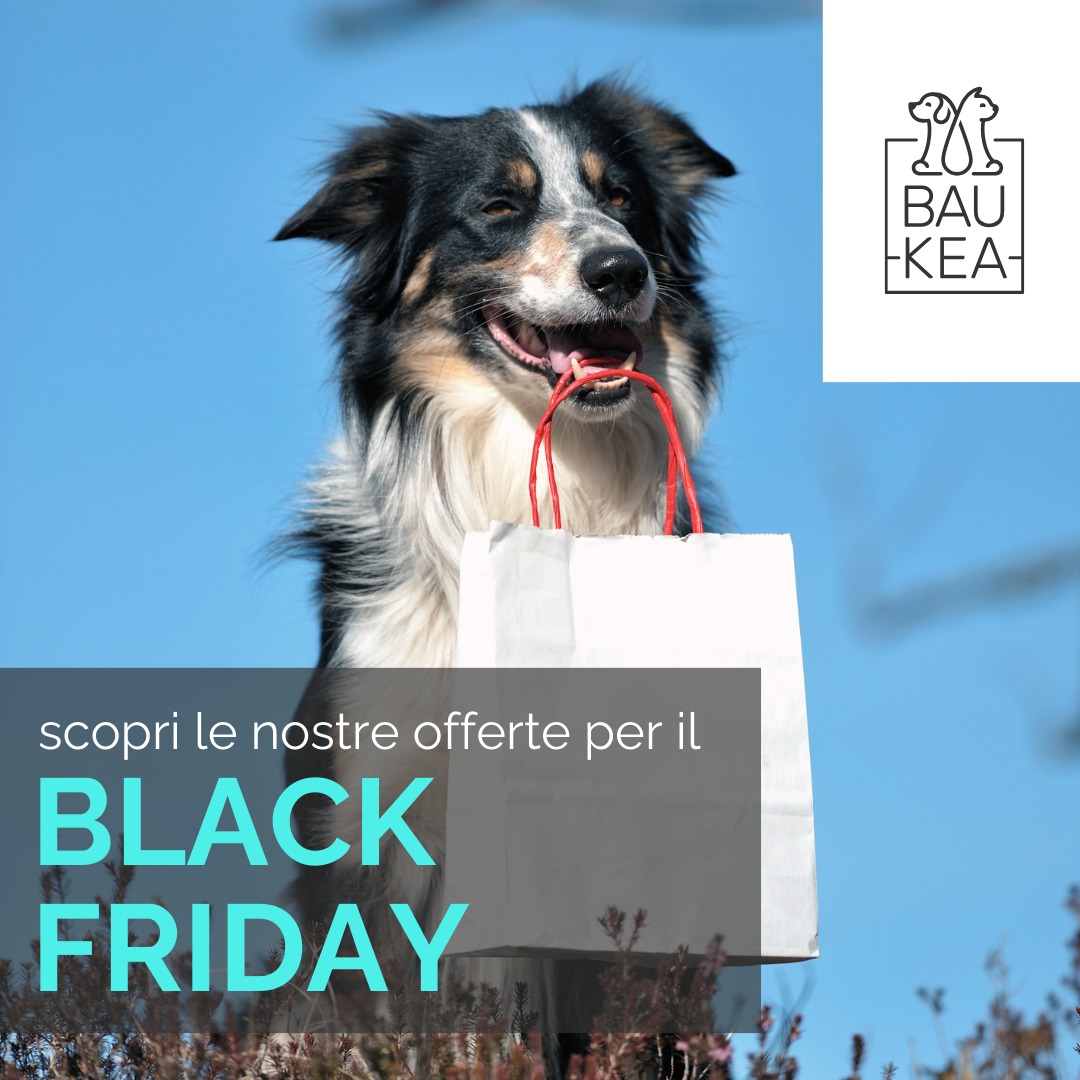 🖤 Black Friday da BauKea: Scopri le Offerte Imperdibili! 🖤

Il giorno più atteso dell'anno sta arrivando! Siamo entusiasti di presentarti il nostro Black Friday, dove potrai trovare sconti esclusivi su tutti i prodotti per i tuoi amati animali! 🎉

Cosa ti aspetta:
• Tantissimi sconti su una selezione di articoli! 🛒
• Offerte speciali per i membri della nostra newsletter 📩

Ma attenzione! Queste offerte sono disponibili solo il 29 novembre! Visita il nostro sito e approfitta delle offerte incredibili. ✨

Ti aspettiamo!

www.baukea.com

BauKea 🐾 
Pet Lifestyle

#BauKea #PetLifeStyle #Blackfriday #Offerte #PetLovers