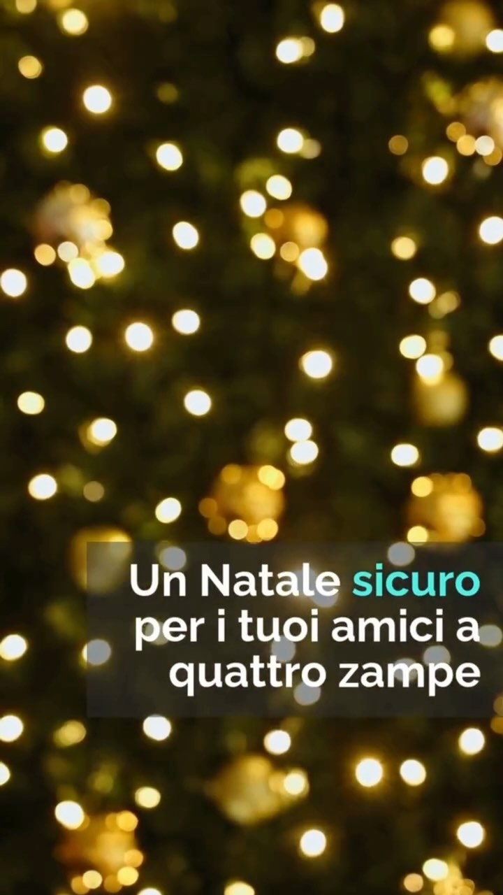 𝐓𝐈𝐏𝐒 𝐅𝐎𝐑 𝐏𝐄𝐓𝐒: Natale per i tuoi amici a 4 zampe! 🎄

Il Natale è una festa di gioia, ma per i nostri amici a 4 zampe può nascondere qualche pericolo! @sara.vetnutripet, esperta in nutrizione di cani e gatti, ci dà dei preziosi consigli per prevenire i rischi legati alle feste natalizie.

Dai dolci pericolosi alle decorazioni, ecco cosa tenere in considerazione per un Natale sicuro e sereno per i tuoi compagni pelosi.

👉 𝐒𝐞𝐠𝐮𝐢𝐜𝐢 𝐩𝐞𝐫 𝐚𝐥𝐭𝐫𝐢 𝐜𝐨𝐧𝐬𝐢𝐠𝐥𝐢 𝐮𝐭𝐢𝐥𝐢 𝐩𝐞𝐫 𝐢 𝐭𝐮𝐨𝐢 𝐩𝐞𝐭.

www.baukea.com

BauKea 🐾
Pet Lifestyle
https://baukea.com

#BauKea #NataleSicuro #PrevenzioneAnimali #CaniEGatti #ConsigliVeterinari #AmiciAnimali