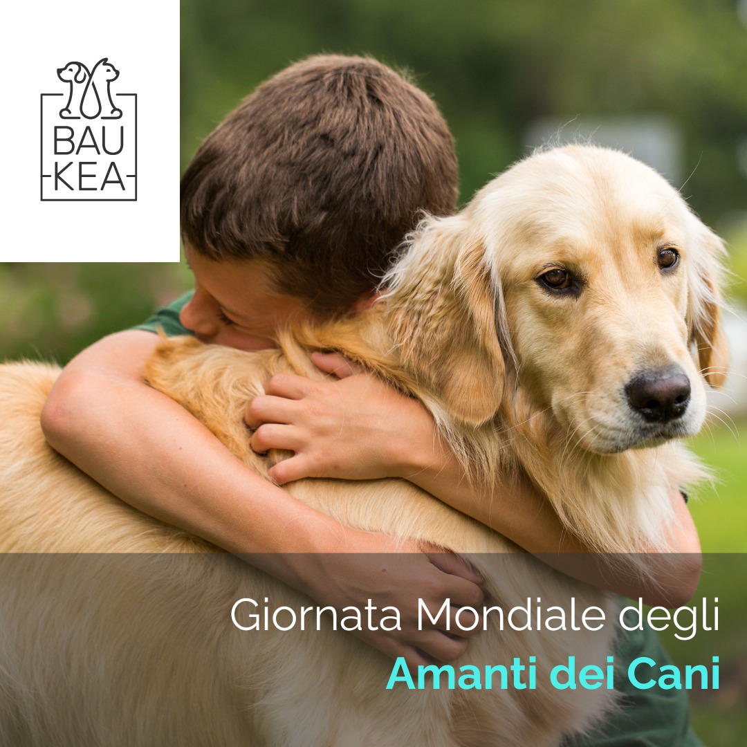 🐾❤️ 𝗚𝗶𝗼𝗿𝗻𝗮𝘁𝗮 𝗺𝗼𝗻𝗱𝗶𝗮𝗹𝗲 𝗱𝗲𝗴𝗹𝗶 𝗮𝗺𝗮𝗻𝘁𝗶 𝗱𝗲𝗶 𝗖𝗮𝗻𝗶! ❤️🐾

Il 26 settembre è la Giornata Mondiale degli amanti dei Cani, un giorno speciale per celebrare i nostri fedeli amici a quattro zampe e l'amore incondizionato che ci regalano ogni giorno! 🐶

Questa è l'occasione perfetta per celebrare l'incredibile legame che abbiamo con i nostri amici a quattro zampe e per ringraziarli per tutto l'amore e la gioia che ci regalano ogni giorno.

Rendiamo questa giornata indimenticabile regalando loro coccole extra, giochi divertenti e snack speciali che puoi trovare facilmente sul nostro sito web! 

Buona giornata mondiale degli amanti dei Cani da BauKea! ✨

www.baukea.com

BauKea 🐾 
Pet Lifestyle

#BauKea #GiornataMondialeDegliAmantiDeiCani #DogLovers #AmiciFedele #PetLovers