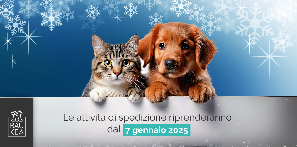 Le attività di spedizione riprenderanno dal 7 Gennaio 2025